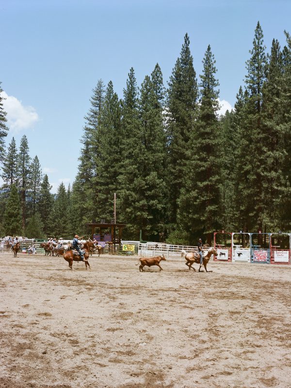 2008 Silver Buckle Rodeo in Taylorsville, California.