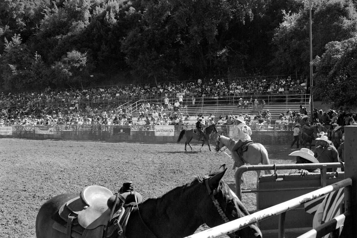 Bill Pickett Invitational Rodeo. Hayward, California.