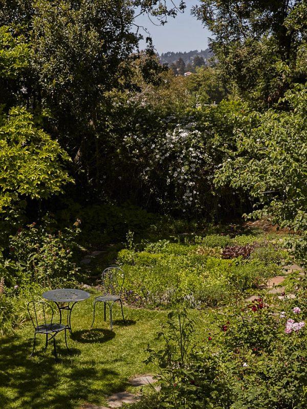 Editorial portraits of slow food enthusiast, chef, food activist, author, and founder of Chez Panisse, Alice Waters, photographed at home in her garden in Berkeley by Bay Area portrait photographer Gabriela Hasbun.