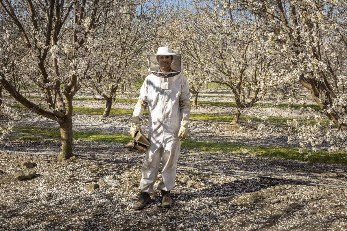 Matias Viel of BeeFlow photographed with his bees at Woolf Almond orchard in California’s central Valley. Beeflow increases organically crop yields providing professionalized pollination services. With a team built by pollination and bee health scientists we can increase between 10-80% yields of more than 30 crops in Argentina. Beeflow's pollination service increases beekeeper's income as well. Bee-hives are transported and safeguarded on fields within scientific standards to avoid any health problem. Science-based solutions regarding pollination efficiency and bee health are being developed also.