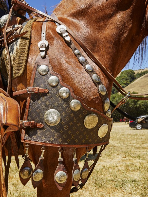 Pat Davis shows off his custom Louis Vuitton saddle at the Grand Entry. “The tack and silver were made especially for Hercules from a Artesian leather craftsman in Sebastopol, California.”

Bill Pickett Invitational Rodeo in Oakland, CA - July 9th, 2022.